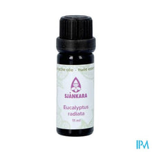 Afbeelding in Gallery-weergave laden, Sjankara Eucalyptus Radiata Ess. Olie Bio 11ml
