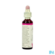 Load image into Gallery viewer, Bach Flower Remedie 29 Star Bethlehem 20ml
