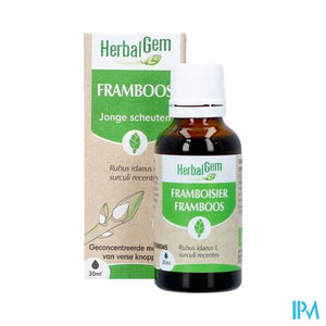 Herbalgem Frambozenstruik Bio 30ml