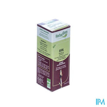 Bild in der Galerieansicht laden, Herbalgem Birkenmazerat 50ml

