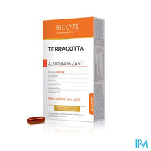Afbeelding in Gallery-weergave laden, Biocyte Terracotta Cocktail Hale Sublime Comp 30
