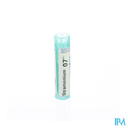 Stramonium 7ch Gr 4g Boiron