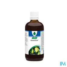 Load image into Gallery viewer, A.Vogel Dormeasan 100ml
