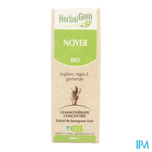 Charger l'image dans la galerie, Herbalgem Walnoot Maceraat 50ml
