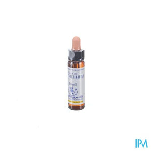 Healing Herbs Star Bethlehem 10ml