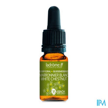 Charger l'image dans la galerie, Ladrome Paardekastanje/white Chestnut 10ml
