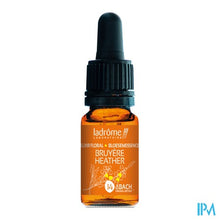Load image into Gallery viewer, Ladrome Struikheide/heather 10ml
