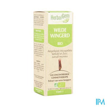 Afbeelding in Gallery-weergave laden, Herbalgem Wilde Wingerd Maceraat 15ml
