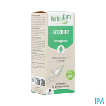 Afbeelding in Gallery-weergave laden, Herbalgem Lijsterbes Bio 30ml
