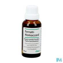 Load image into Gallery viewer, Ferrum-homaccord Gutt 30ml Heel
