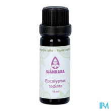 Afbeelding in Gallery-weergave laden, Sjankara Eucalyptus Radiata Ess. Olie Bio 11ml
