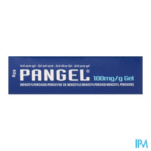 Afbeelding in Gallery-weergave laden, Pangel 10 % Gel 60g
