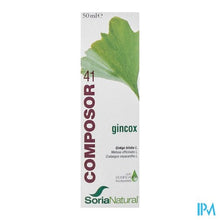 Load image into Gallery viewer, Soria Composor 41 Gincox 50ml
