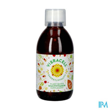 Load image into Gallery viewer, Vibracell Energy&vitality Plant.multiv.30x10ml Nf
