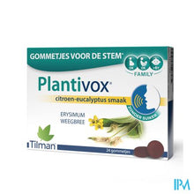 Afbeelding in Gallery-weergave laden, Plantivox Pastilles 24
