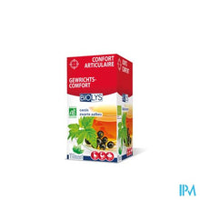 Afbeelding in Gallery-weergave laden, Biolys Aalbes Bio Tea-bags 20
