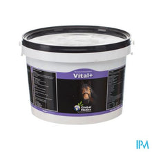 Afbeelding in Gallery-weergave laden, Vital+ Pdr 1,0kg
