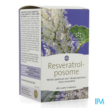 Load image into Gallery viewer, Resveratrol-posome V-caps 60
