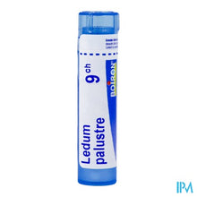 Afbeelding in Gallery-weergave laden, Ledum Palustre 9ch Gr 4g Boiron
