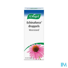 Afbeelding in Gallery-weergave laden, A.Vogel Echinaforce 50ml
