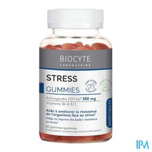 Load image into Gallery viewer, Biocyte Stress Gommes 60
