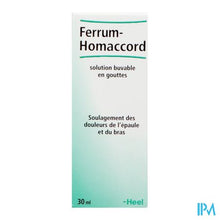 Afbeelding in Gallery-weergave laden, Ferrum-homaccord Gutt 30ml Heel
