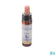 Healing Herbs Star Bethlehem 10ml