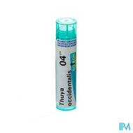 Thuya Occidentalis 4ch Gr 4g Boiron