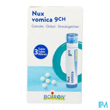 Afbeelding in Gallery-weergave laden, Nux Vomica 9ch Homeopack Gr 3x4g Boiron
