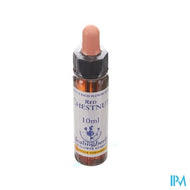 Healing Herbs Red Chestnut 10ml