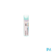 Afbeelding in Gallery-weergave laden, Kalium Sulfuricum 5ch Gr 4g Boiron
