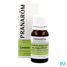 Load image into Gallery viewer, Pranarom Eo Echte Lavendel 10ml
