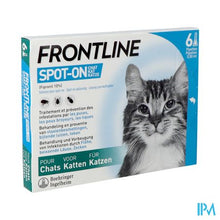 Afbeelding in Gallery-weergave laden, Frontline Spot On Kat 10% Pipet 6x0,50ml
