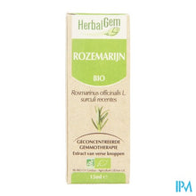 Afbeelding in Gallery-weergave laden, Herbalgem Rozemarijn Maceraat 15ml
