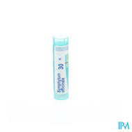 Symphytum Officinale 30k Gr 4g Boiron