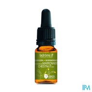 Ladrome Kastanjeknop/chestnud Bud 10ml