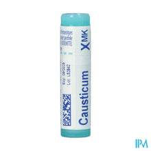 Afbeelding in Gallery-weergave laden, Causticum Hahnemanni Xmk Gl Boiron
