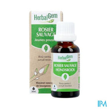Afbeelding in Gallery-weergave laden, Herbalgem Hondroos Bio 30ml
