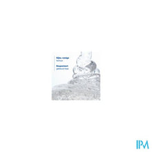 Load image into Gallery viewer, Ducray Kelual Ds Sh Verzorg. Hardnek. Roos 100ml
