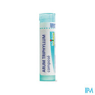 Arum Triphyllum Comp Gran Boiron