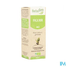 Load image into Gallery viewer, Herbalgem Vijgenboom Maceraat 50ml

