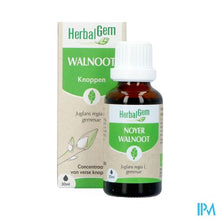 Afbeelding in Gallery-weergave laden, Herbalgem Walnoot Bio 30ml
