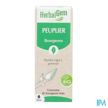 Load image into Gallery viewer, Herbalgem Populier Bio 30ml
