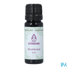 Load image into Gallery viewer, Sjankara Ravintsara Ess. Olie Bio 11ml
