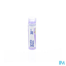 Afbeelding in Gallery-weergave laden, Ignatia Amara 30ch Gr 4g Boiron
