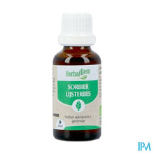 Afbeelding in Gallery-weergave laden, Herbalgem Lijsterbes Bio 30ml

