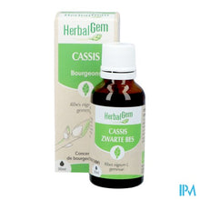 Afbeelding in Gallery-weergave laden, Herbalgem Zwarte Bes Bio 30ml
