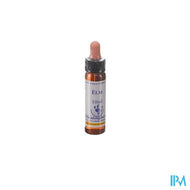 Healing Herbs Elm 10ml