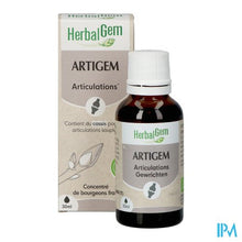 Afbeelding in Gallery-weergave laden, Herbalgem Artigem Bio 30ml
