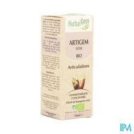 Herbalgem Artigem Complex 15ml
